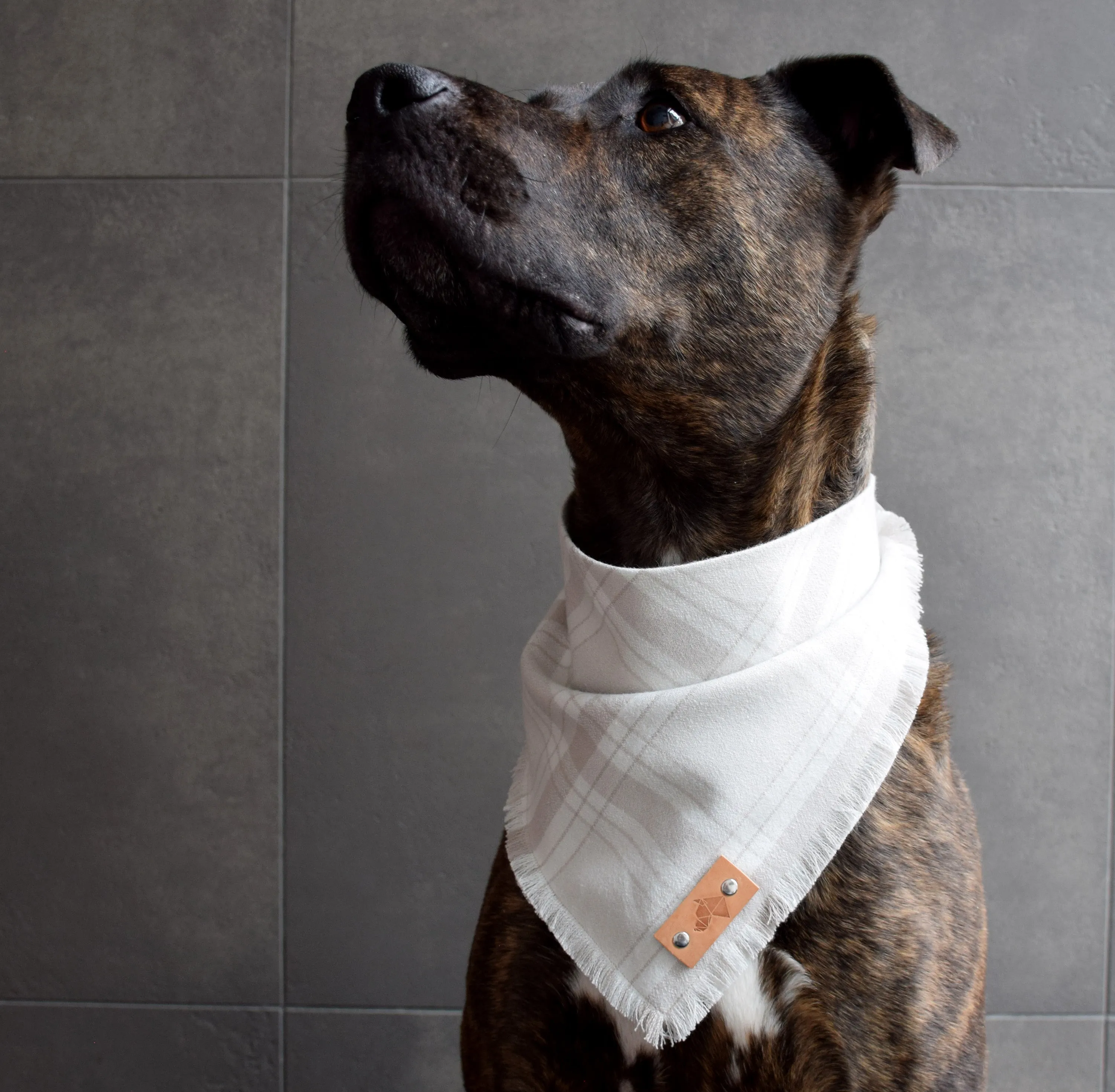 BONE Fringed Flannel Dog Bandana - Snap/Tie On Cotton Scarf